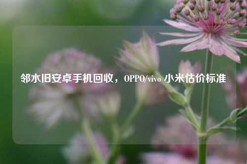 邻水旧安卓手机回收,OPPO/vivo 小米估价标准