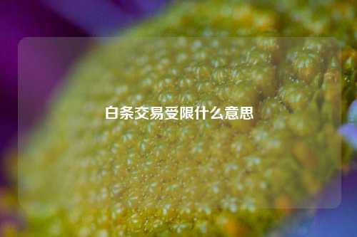 白条交易受限什么意思