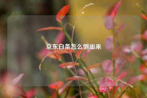 京东白条怎么倒出来