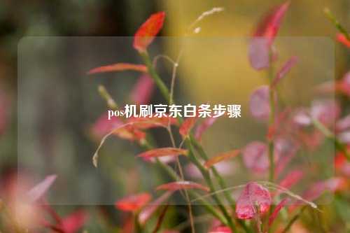 pos机刷京东白条步骤