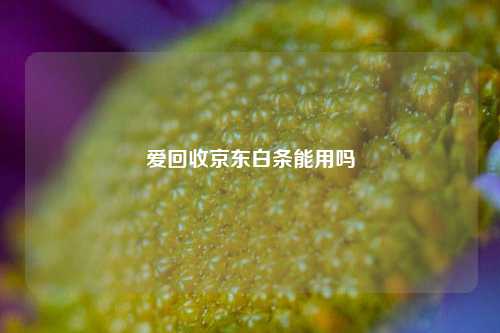 爱回收京东白条能用吗