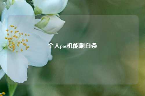 个人pos机能刷白条