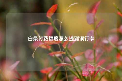 白条付费额度怎么提到银行卡