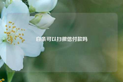 白条可以扫微信付款吗