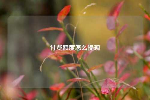 付费额度怎么提现